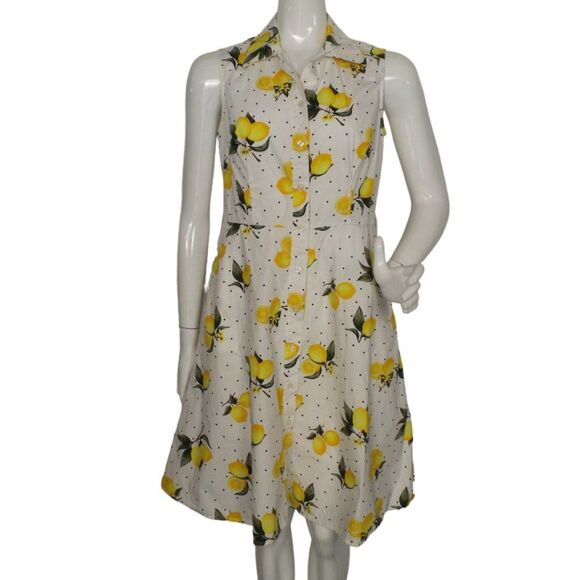 CHLOE + RENE Lemon Shirt Dress, S, White/Yellow, Sleeveless, Buttons, Collar - Picture 1 of 14